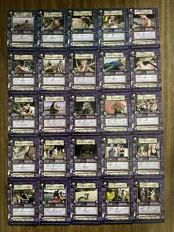 Survivor Trading Card Game - 189 cards, no doubles - 2001 - huge lot - rare! - Image 5