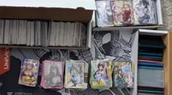 Huge 700+ Waifu Anime Card Lot Spicy, Holo, UR, SSR, GR - Entire Inventory - Image 1