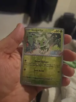 [REVERSE HORIZON Stamped] Sprigatito 012/193 - Pokemon SV02: Paldea Evolved -NM - Image 1