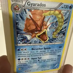 Gyarados XY109 XY Promo Holo Stage 1 HP130 Pokemon TCG Card English - Image 4