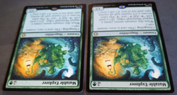 MTG Mutable Explorer x3 (1 Foil) | Lorwyn Eclipsed | NM | Shapeshifter x3 Lot - Image 5