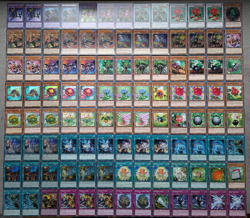 Yu-Gi-Oh! Runisch/ Runic/ Naturia/ Therion - Deck/Set/Core 104 Karten - 40 Holos - Image 2
