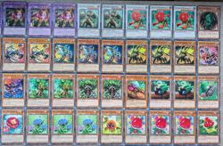 Yu-Gi-Oh! Runisch/ Runic/ Naturia/ Therion - Deck/Set/Core 104 Karten - 40 Holos - Image 4