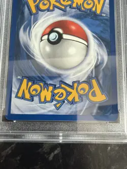 Charmeleon 24/102 Base Set PSA 8 NM-MT Pokemon WOTC Card - Image 5