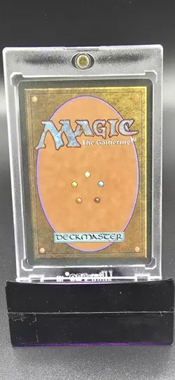 Mtg 💥 Royal Assassin 💥 Revised Edition LP/MP 🌟RARE🌟 Magic the Gathering - Image 2