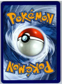Squirtle - 039 039 Holo Promo ME: Mega Evolution Promo Pokemon NM - Image 2
