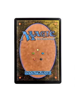 Plains L 0287 Basic Land FOIL MTG Tarkir Dragonstorm TDM EN NM/M - Image 2