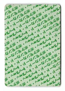 POKEMON JAPANESE IVYSAUR NO. 002 TOPSUN DAMAGED - Image 2