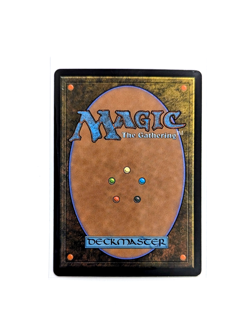 Mistrise Village R 0397 Borderless FOIL MTG Tarkir Dragonstorm TDM EN NM/M - Image 2