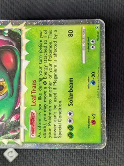 Meganium (Prime) HGSS08 - Heart Gold Soul Silver Promo Holo Pokemon TCG HP/DMG - Image 5