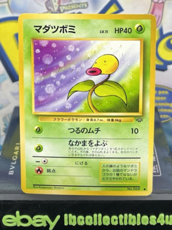 Vintage 1997 Pokemon Card Bellsprout No. 069 Jungle Set Japanese N/MINT F/S - Image 1
