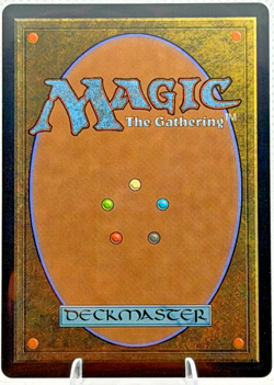 MTG (Regular) Gamble (Showcase) P Avatar: The Last Airbender: Eternal-Legal 312 - Image 2