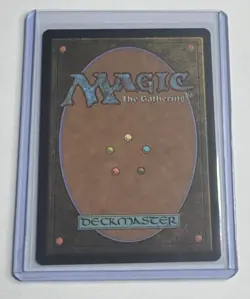 Raph & Mikey, Troublemakers #250 TMNT Showcase Rare MTG NM/M - Image 2