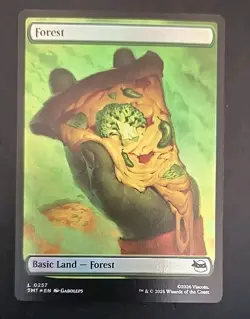 MTG Teenage Mutant Ninja Turtles Full Art Lands Foil #253-257 Near Mint - Image 5