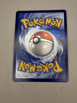 Squawkabilly EX 75/091 Double Rare Holo - Sv4.5 - Paldean Fates NM Pokemon TCG - Image 4