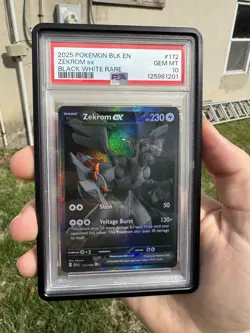 Pokemon 2025 Zekrom ex 172/086 Black White Rare Black Bolt PSA 10 + GradedGuard - Image 1