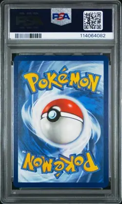 Pokemon PSA 10 Chatot 181/162 Illustration Rare Temporal Forces Gem Mint - Image 2
