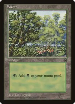 Forest (1996) - Light Play MTG Promos: Arena - Image 1