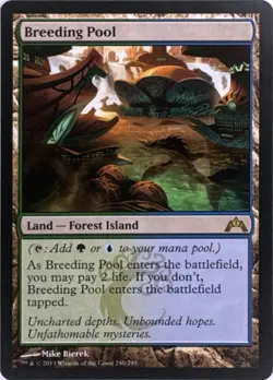 Breeding Pool (#240) - Gatecrash - MTG Rare Land - LP - Normal - Image 1