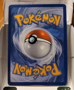 Pokemon TCG Teddiursa RC15/RC25 & Ursaring RC16/RC25 Radiant Collection NM - Image 4