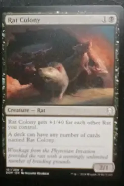 1 MTG NM English Rat Colony Dominaria - Image 1