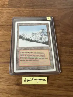 Wizards of the Coast Magic: The Gathering Taiga Rare Land Revised Regular - Image 1