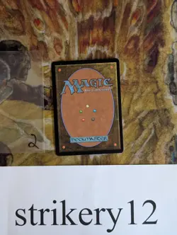 1x Watery Grave – Ravnica: City of Guilds – Signed by Rob Alexander – MTG - Image 2