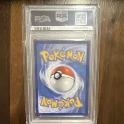 Pokemon Terapagos ex 170/142 Sv07: Stellar Crown Illustration Rare Holo PSA 10 - Image 2