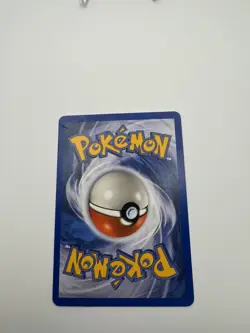 Swinub 107/144 Skyridge Non-Holo E-Series Pokemon TCG Card NM - Image 3