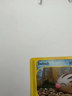 Swinub 107/144 Skyridge Non-Holo E-Series Pokemon TCG Card NM - Image 4