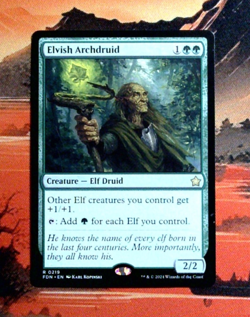 MTG Elvish Archdruid Regular FDN 219 NM R - Image 1
