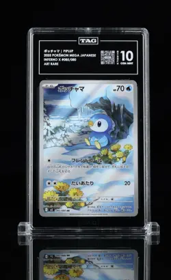 Lot Of Pokemon TAG Slabs - TAG 10 Fuecoco / TAG 10 Piplup / TAG 10 Wailord - Image 2