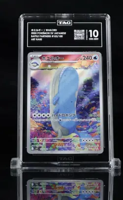 Lot Of Pokemon TAG Slabs - TAG 10 Fuecoco / TAG 10 Piplup / TAG 10 Wailord - Image 3