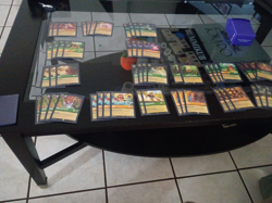 $96 val - Lorcana Dog Deck, sleeved (missing: 4 grandmother willow) 65 sleeves - Image 1