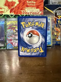 Pokemon TCG: Groudon ex (EX Collector's Tins) 038 Nintendo Promo Holo Pokemon - Image 2