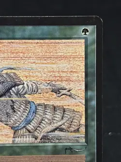 Sandstorm - Arabian Nights ~LP~ Magic The Gathering MTG - Image 4