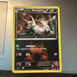 Pokemon Team Magma's Poochyena Double Crisis 17/34 Common Basic 60 HP - Image 1