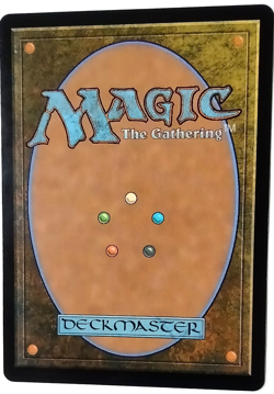 Sheltered by Ghosts - Duskmourn: House of Horror (DSK) - EN - U 0030 - Image 2