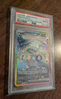 Terapagos ex 170/142 Stellar Crown Special Illustration Rare Pokemon - PSA 10 - Image 2