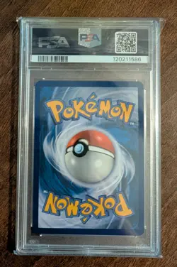 Terapagos ex 170/142 Stellar Crown Special Illustration Rare Pokemon - PSA 10 - Image 3