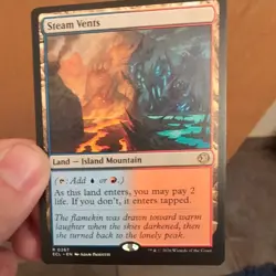 STEAM VENTS - Lorwyn Eclipsed - MTG Rare #267 - Magic: The Gathering - Image 1