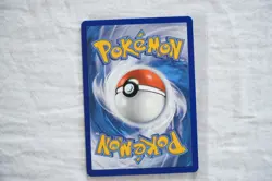 Pokemon TCG Torchic McDonald's 25th Anniversary 11/25 Holo 2021 - Image 2