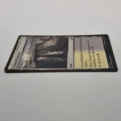 MTG: Scoured Barrens 254/274 - Ikoria Lair of Behemoths 2020 Land Common - Image 5