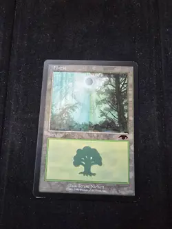 Magic: The Gathering Guru Forest - Image 1