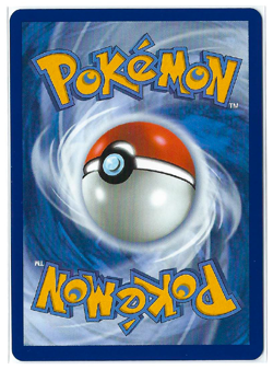 Pokemon Chimchar 041 MEP Black Star Promo First Partner Holo NM Ships Toploader - Image 2