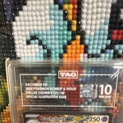 Pokemon Dachsbun ex 169/142 Stellar Crown Special Illustration Rare Holo TAG 10 - Image 3