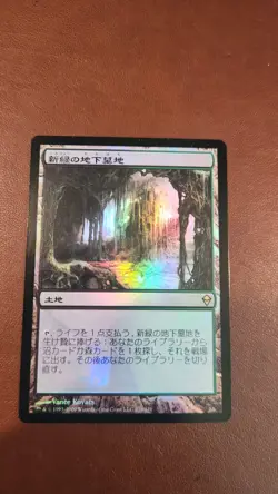 Verdant Catacombs Zendikar Foil Japanese Lightly Played Magic The Gathering MTG - Image 1