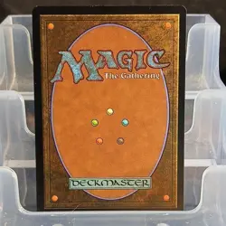 Magic: The Gathering Hermit Druid Green Creature Rare Regular 2025 - Image 2