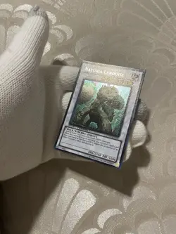 Yu-Gi-Oh! - Duel Terminal 4 Naturia Landoise DT04-EN042 1st Edition - Image 2
