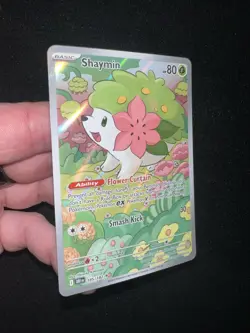 Pokemon Shaymin 185/182 Sv10 Destined Rivals Illustration Rare Holo Basic NM+ - Image 4